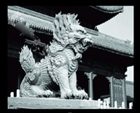 赢博官方网站麒麟-蹲踞样式