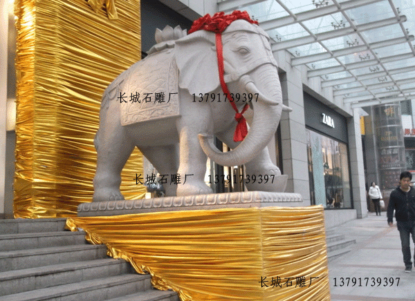 赢博官方网站大象酒店别墅安放