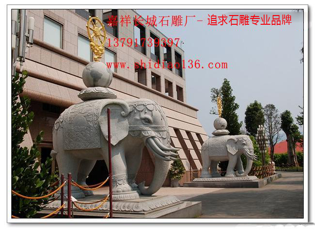 赢博官方网站大象