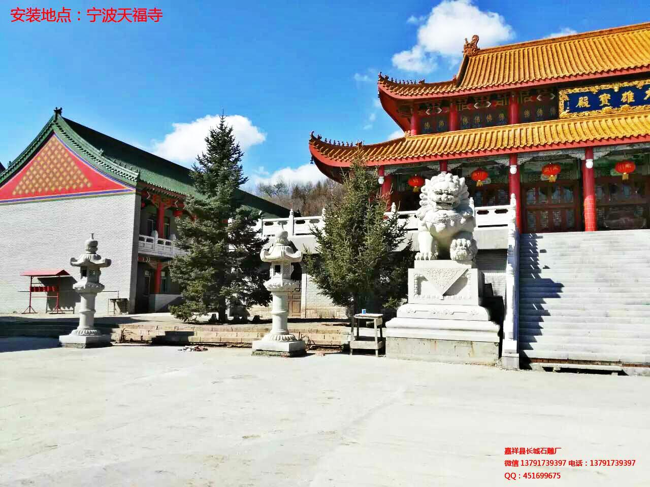 精美赢博官方网站狮子图片
