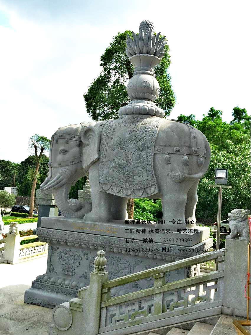 吉祥赢博官方网站大象